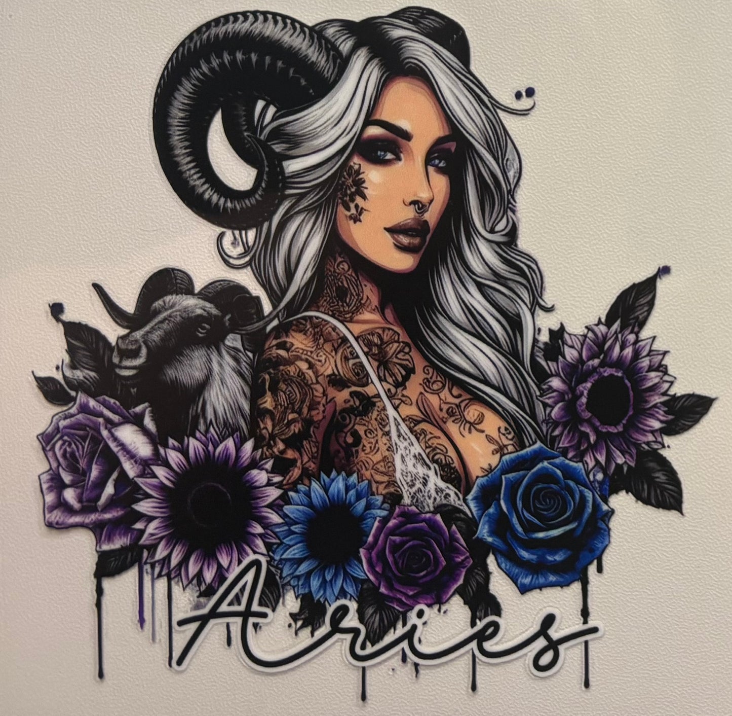 Aries Decal